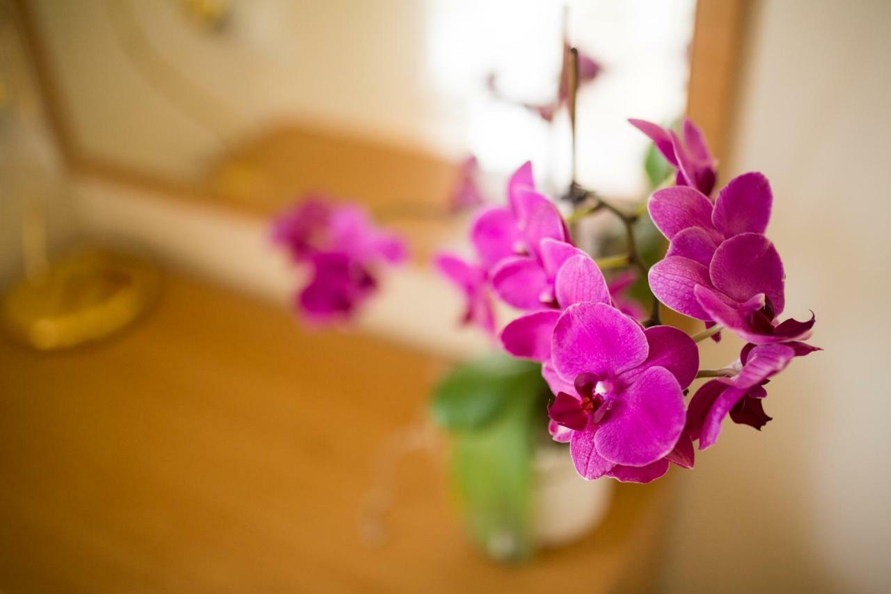 Majda Apartament